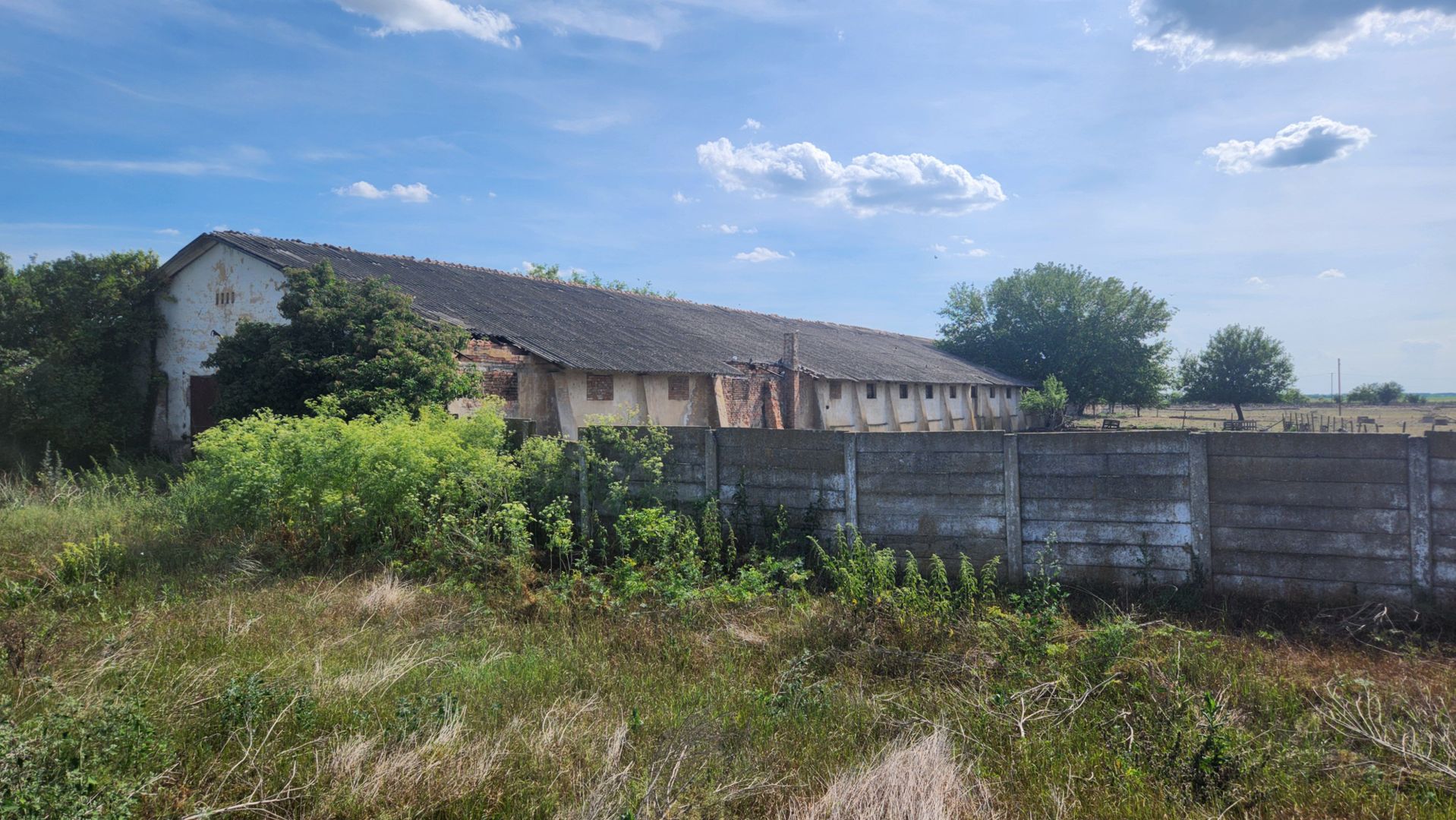 Teren intravilan -Jimbolia zona Kikindei - Poză 25