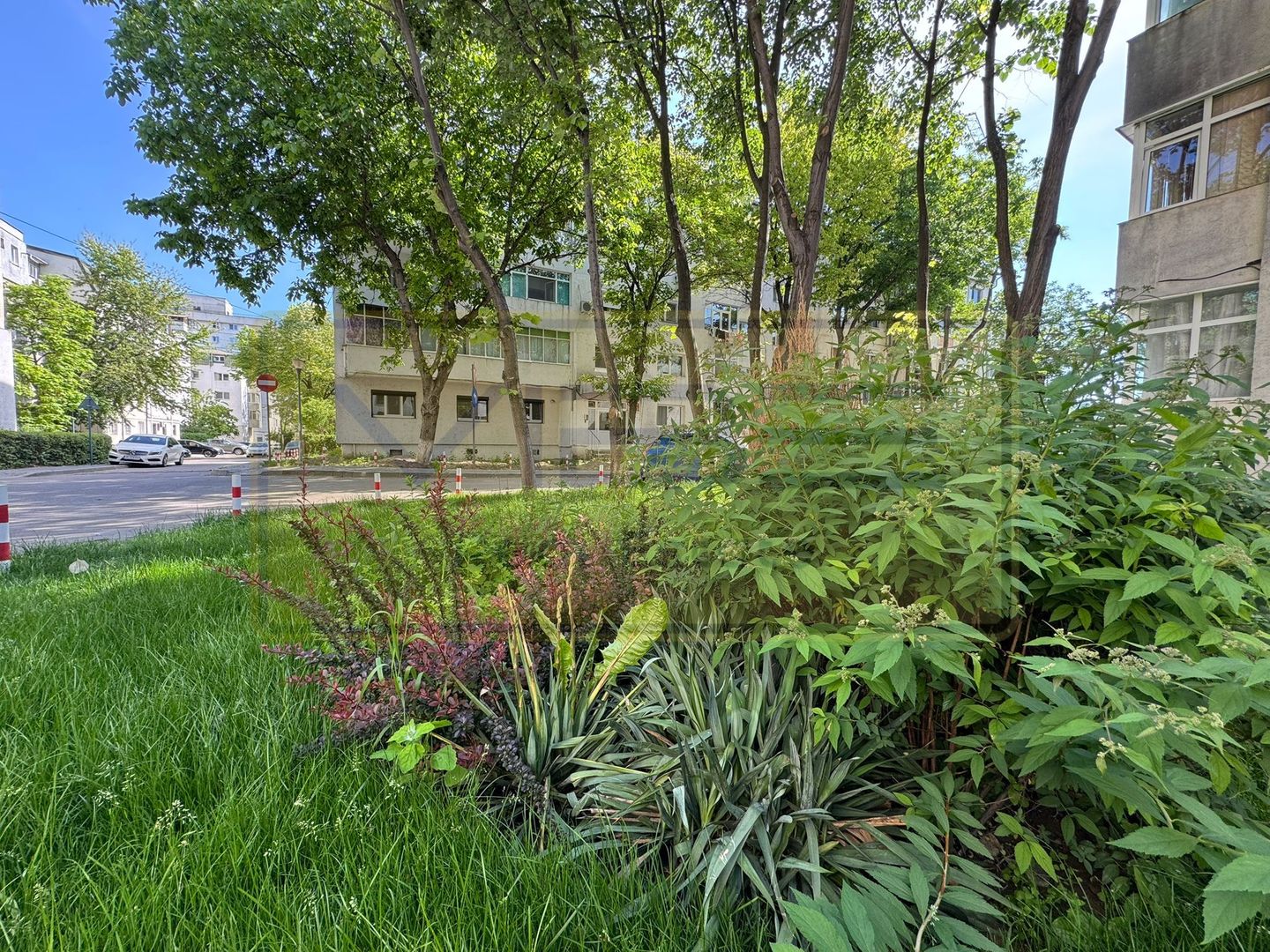 Apartament 2 camere decomandat Nicolina-Hlincea - Poză 22