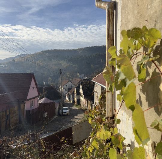 Casa individuala - Sat Vale, Saliste - Poză 4