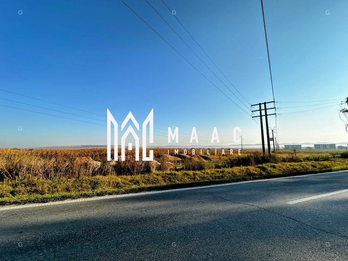 Teren 10.000 mp I Dezvoltare rezidențială I Calea Șurii Mici - Poză 2