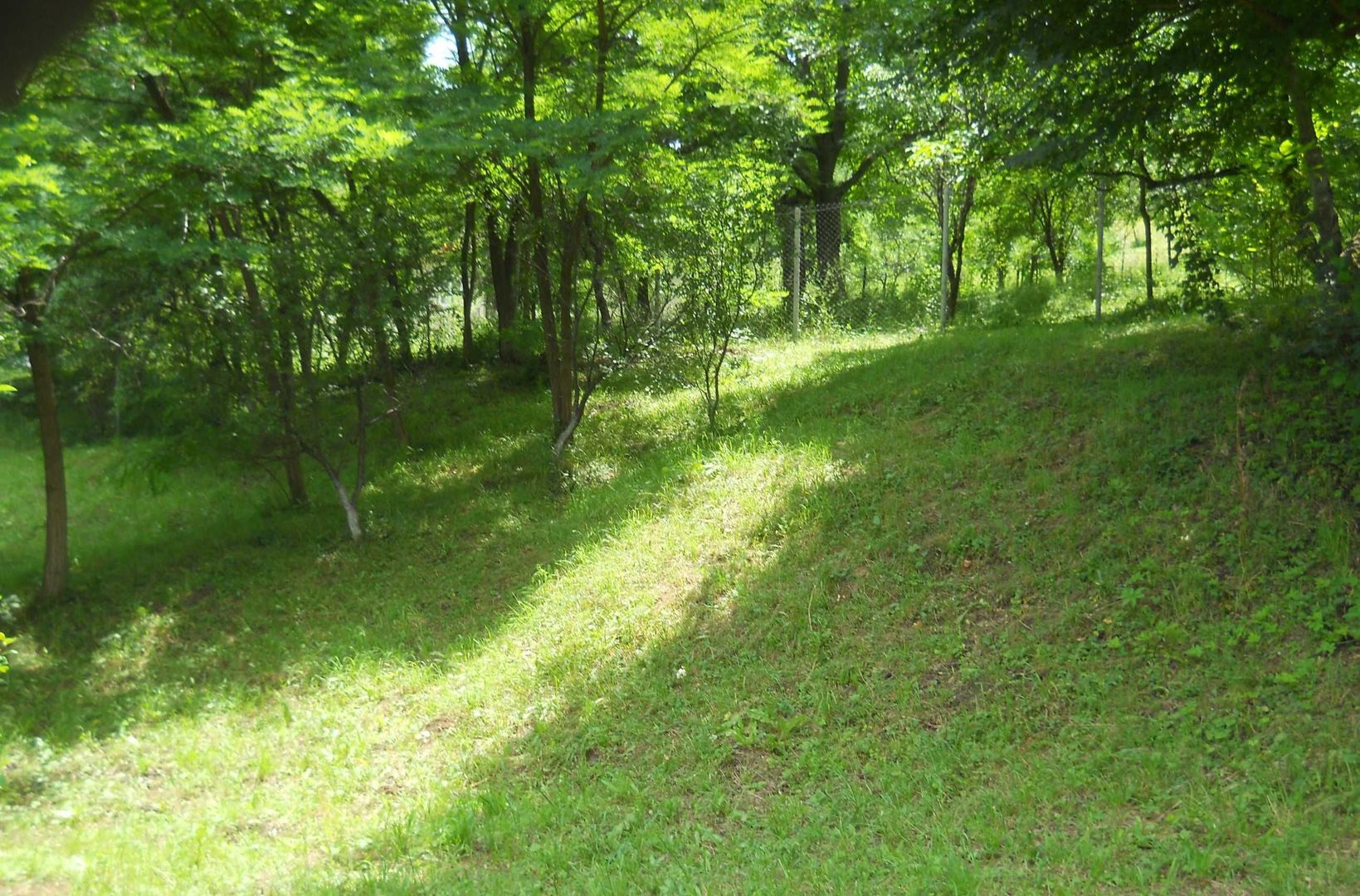 Teren Breaza de Jos, Prahova, Podu Vadului, 3750 mp (posibilitate si de 6000 mp) - Poză 5