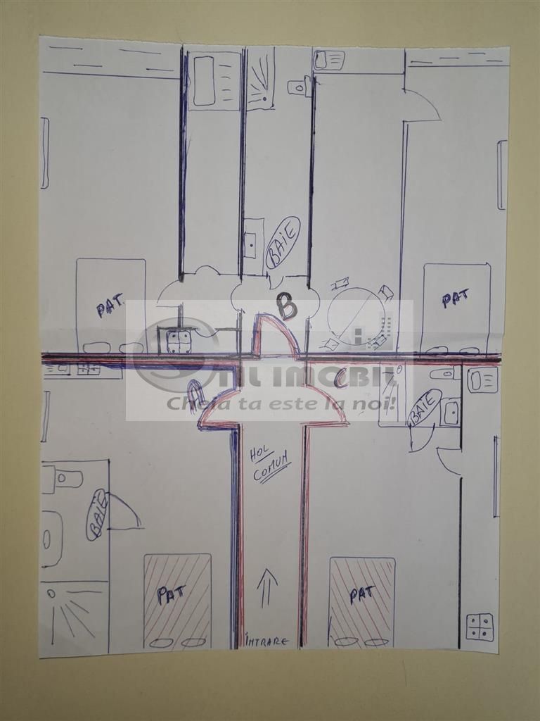 Apartament 3 Camere Copou Blocuri rusesti - Poză 12