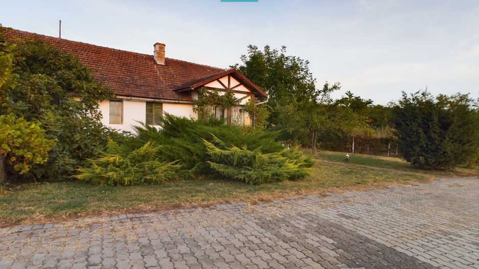 Spațiu comercial - Crama Pivnițele Birăuaș - Poză 27