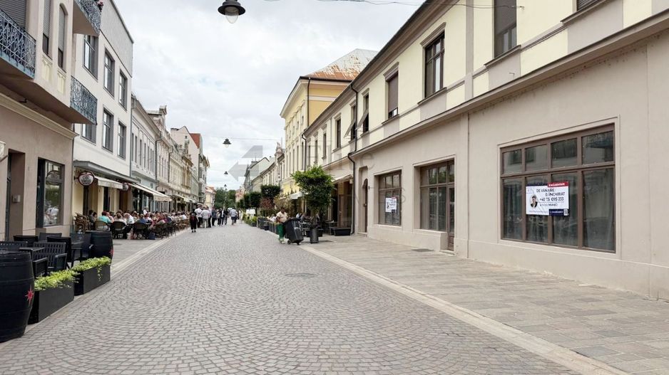 Spatiu Comercial Pietonala Vasile Alecsandri | 200 mp | Vitrina ampla - Poză 6