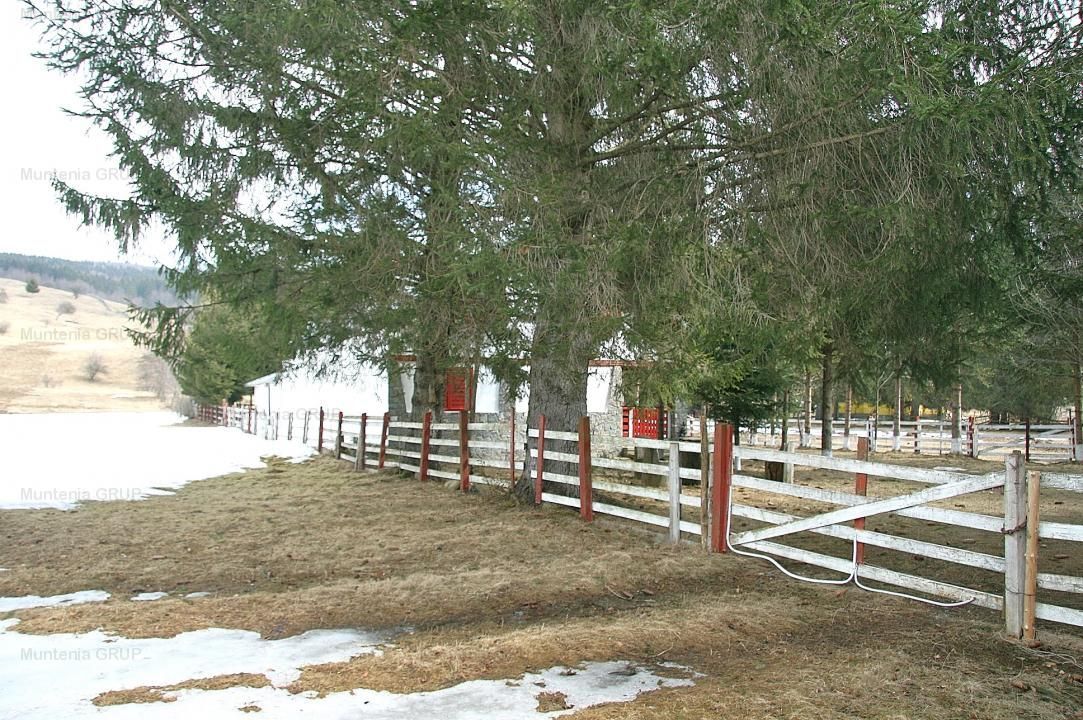 VALEA DOFTANEI - Traisteni, langa Conacul Dascalu, vanzare 2.537 mp. teren - Poză 14