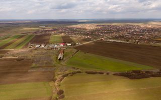 Fermă cu teren intravilan de 35000 mp în Mișca - Poză 8