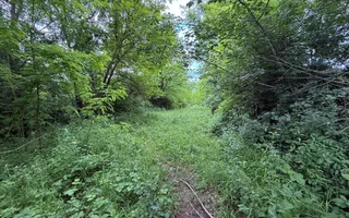 Teren plat-intravilan -3800 mp, cu pădurice și ieșire la râu! - Poză 19