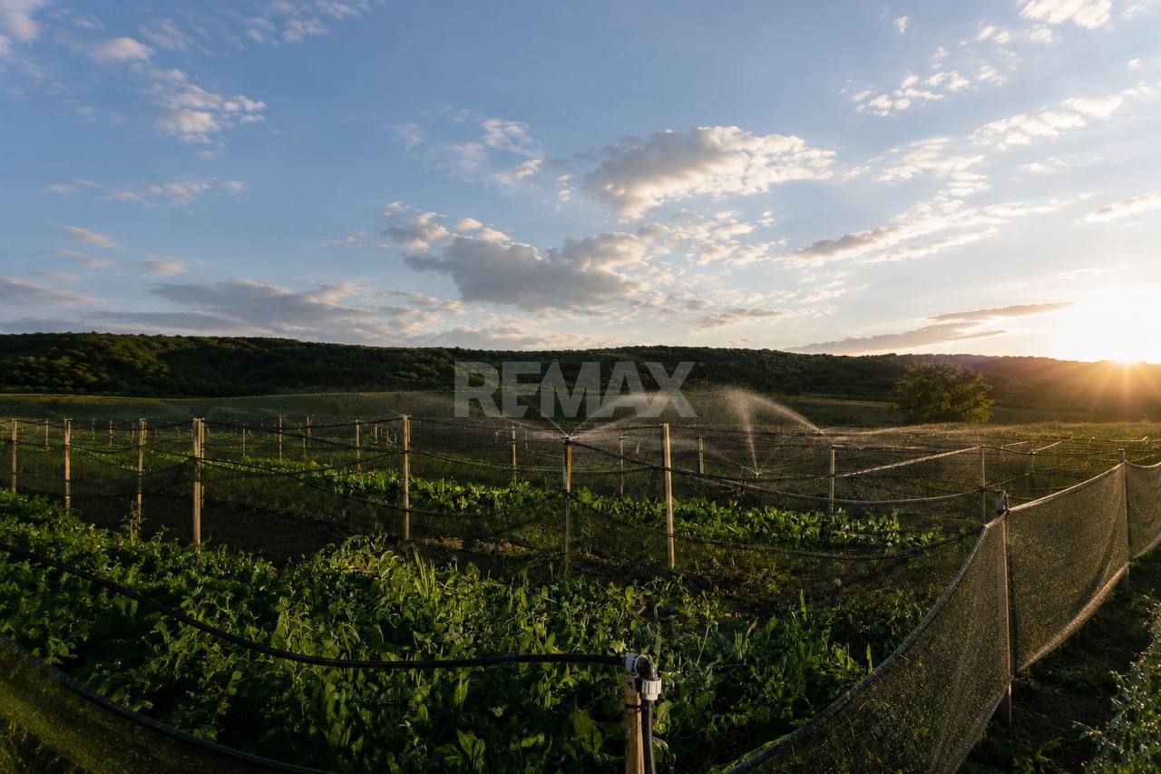 Teren agricol de vânzare – 6,8 hectare cu lac propriu și casă, Nisporeni - Poză 2