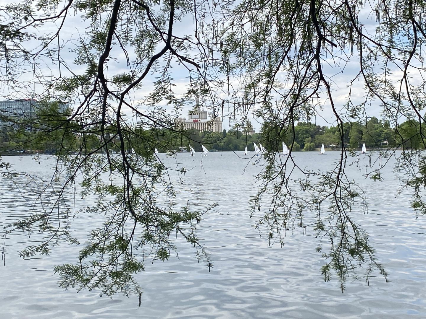 Nordului Herastrau 4 camere grădină proprie la 150m de parc - Poză 1