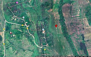 Terenuri extravilane de vânzare – Vizma & Crivobara, comuna Secaș, jud. Timiș