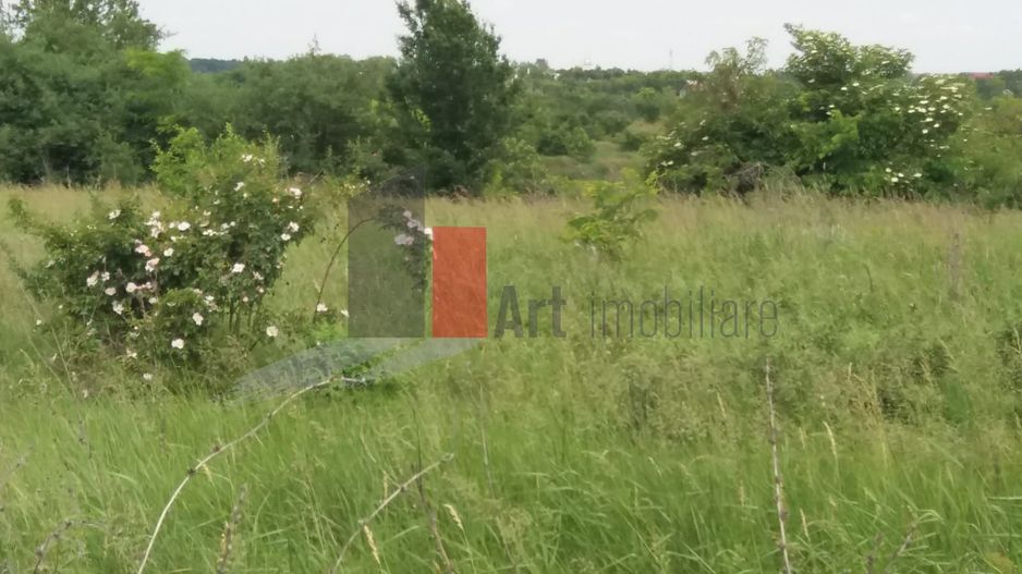 Teren Buftea cu iesire la lac - Poză 22