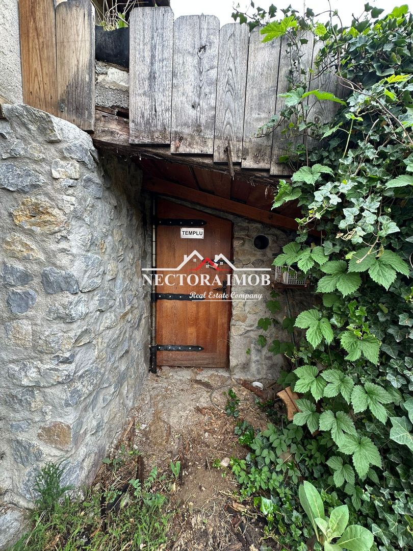 NECTORA IMOB Exclusivitate-Casa 5 camere, 2 bucatarii, 2300 mp teren - Poză 14