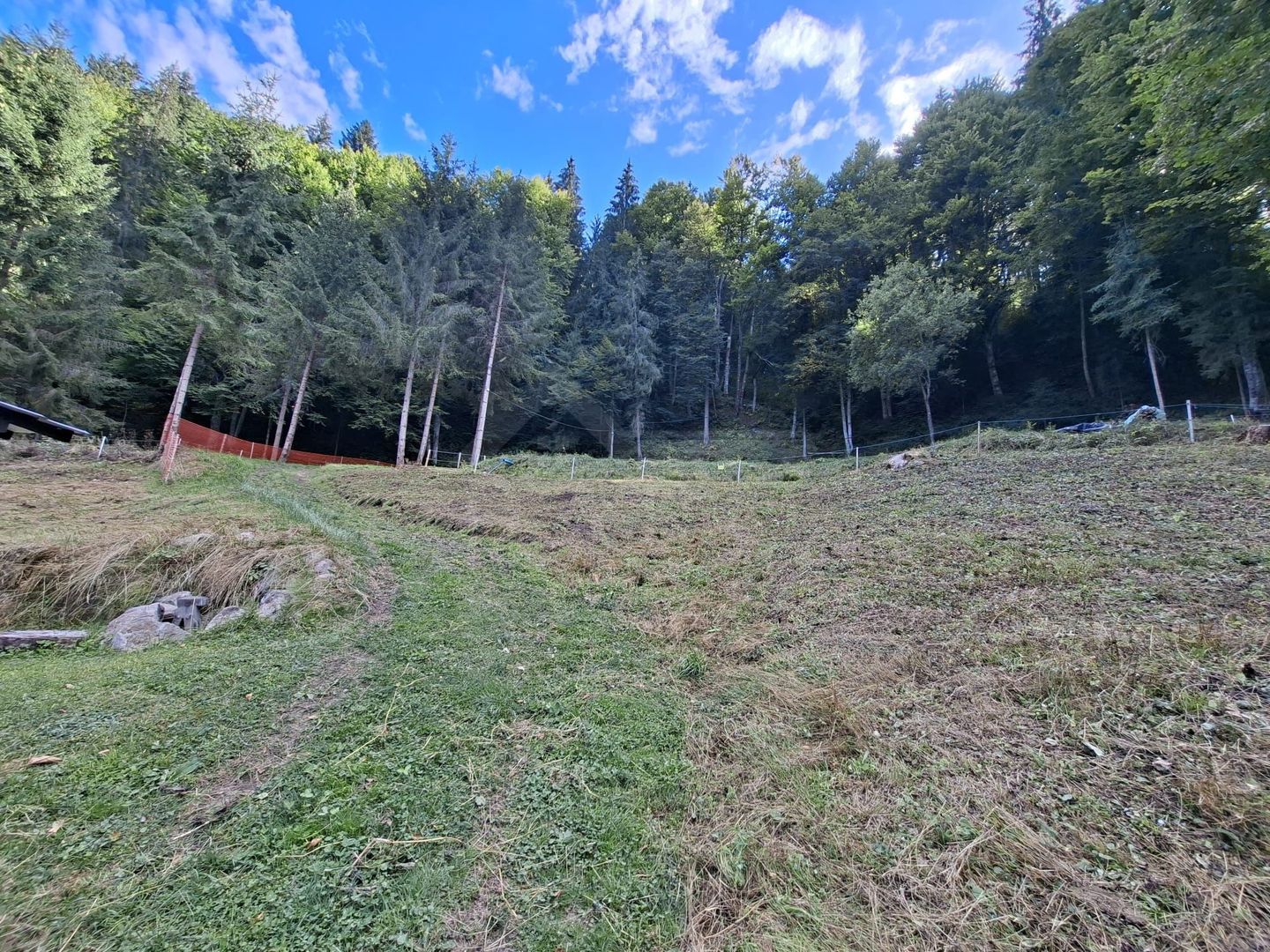 Teren intravilan la munte - Poză 5