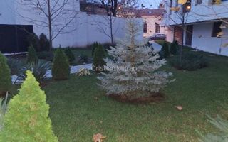 Apartament 2 camere Timpuri Noi Pet Friendly - Poză 8