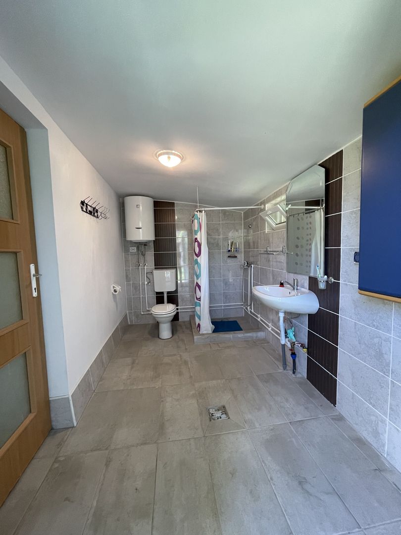 Casa in Comuna Geaca - Poză 10