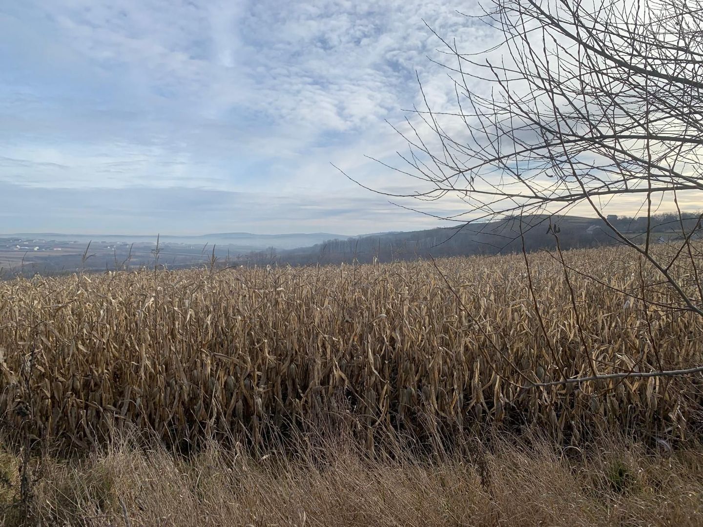 Teren intravilan de vânzare | Cajvana | 7.800 mp - Poză 7