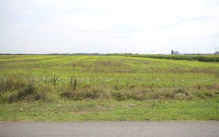 Terenuri  PUZ destinatie industriala 12.900 mp Centura de N - Poză 4