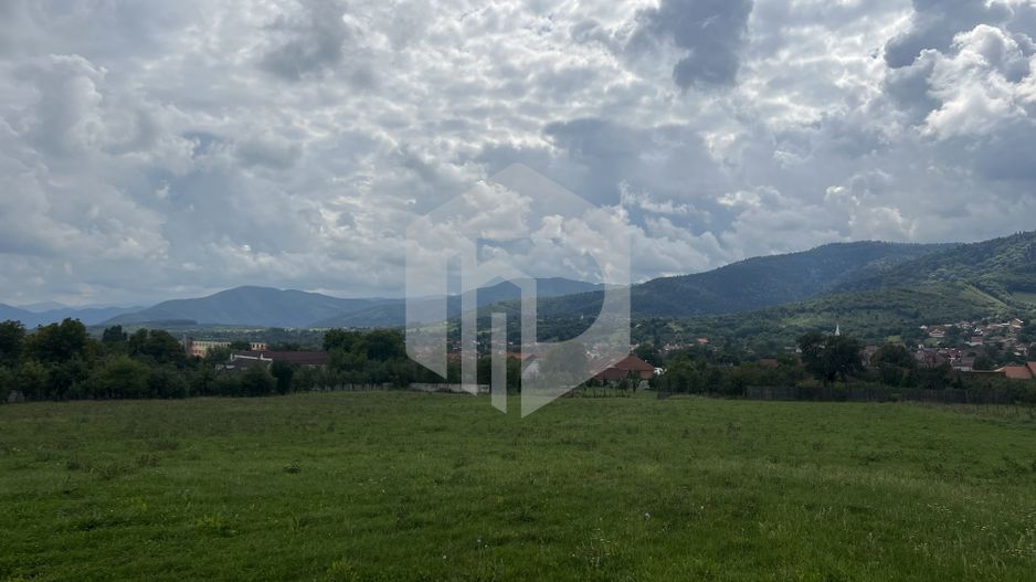 Teren pretabil investitie cabana in Saliste-7000 mp - Poză 3