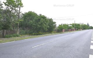 CIOLPANI - Sos. Silistea-Ciolpani, 8.700 mp. teren ideal constructie - Poză 3