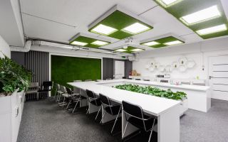 Vânzare, spațiu comercial, 524 mp, bd. Decebal, Botanica - Poză 6