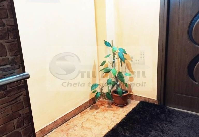 2 CAM PODU ROS PALAS CANTEMIR FARA RISC ETAJ INTERMEDIAR - Poză 10