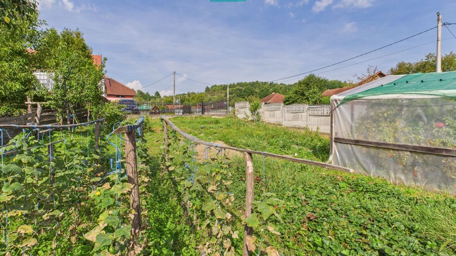 Casă și centru comercial, în localitatea Lazuri - Poză 12