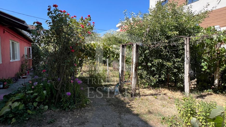 Teren str Renasterii Chitila - Poză 5
