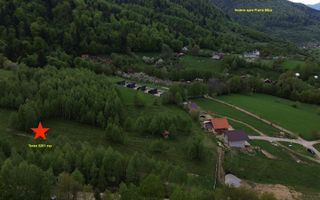Teren intravilan 5.261 mp Tohănița | Deschidere 49 m | Utilități, lângă pădure - Poză 6