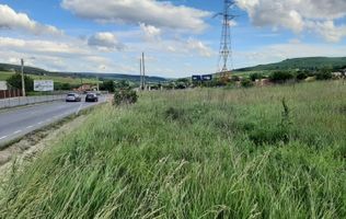 Teren de vanzare in Martinesti