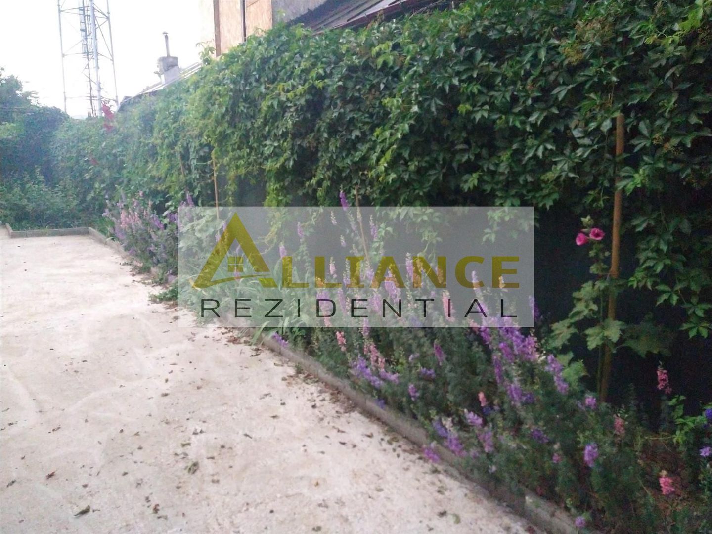 CASA INDIVIDUALA - SOSEAUA OLTENITEI - 1500 MP TEREN - Poză 7