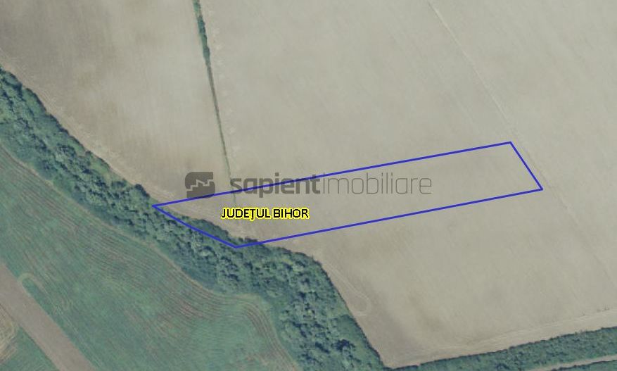 Sapient | Teren intravilan  la E60 - Poză 1