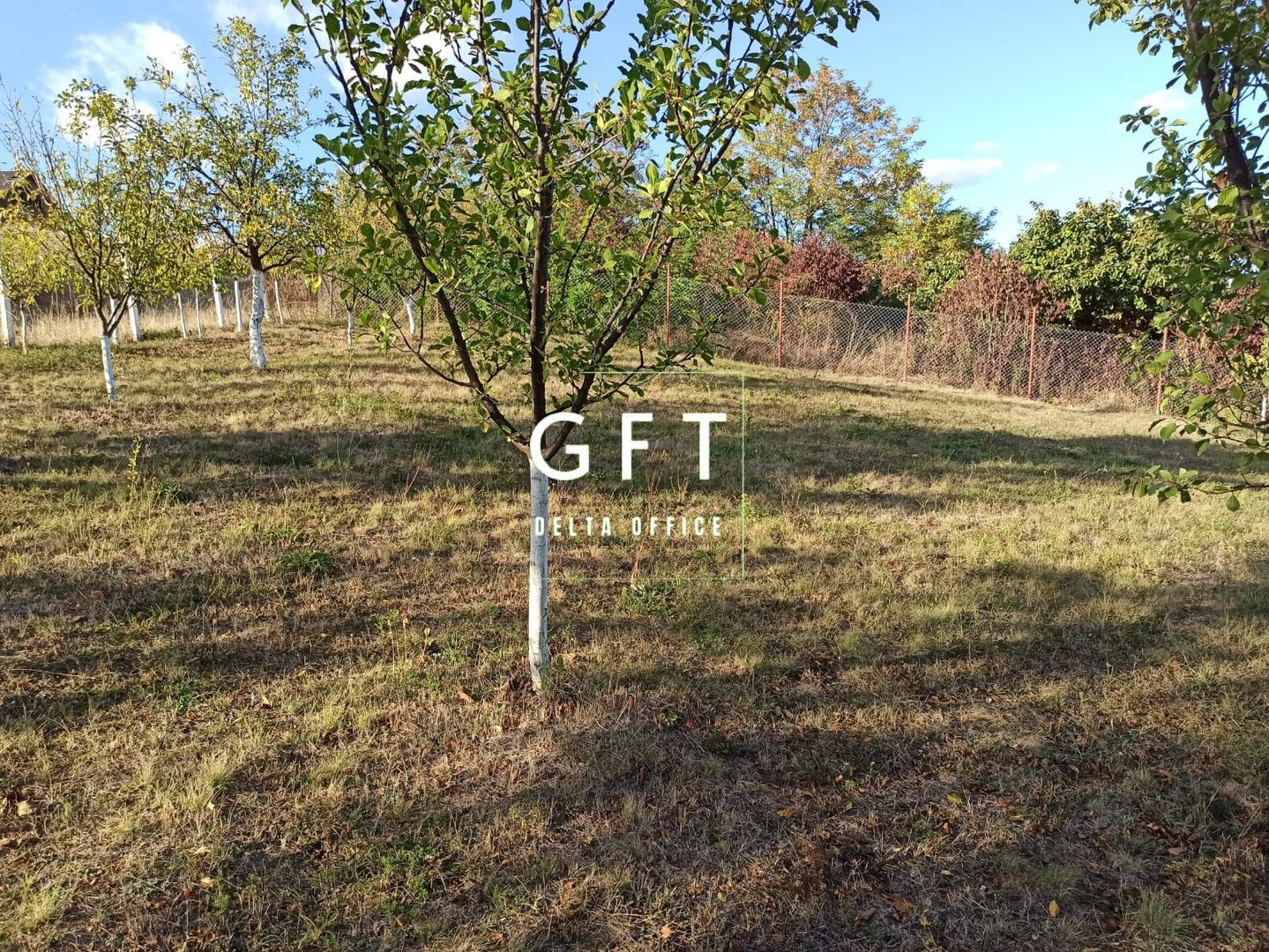 Teren intravilan 730 mp-livada-vedere panoramica-Valea Sigmirului - Poză 6