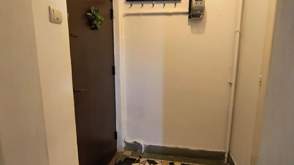 Sala Palatului- Cismigiu- Brezoianu - Poză 16