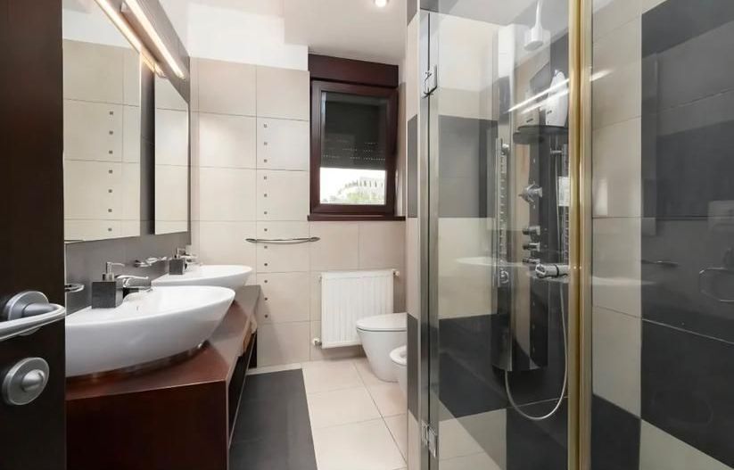 Apartament Duplex 5 camere de vanzare Herastrau - Poză 10