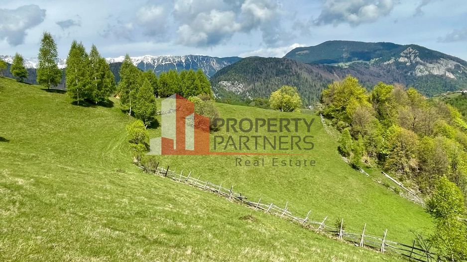 Teren in sat Pestera, comuna Moeciu. - Poză 3