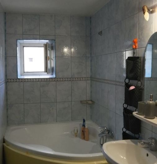 Vanzare Apartament 3 Camere Unirii / Zepter / Emil Botta - Poză 2