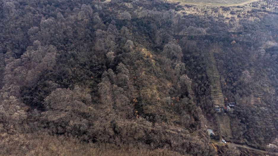 Teren în Ghioroc pe deal - Poză 5