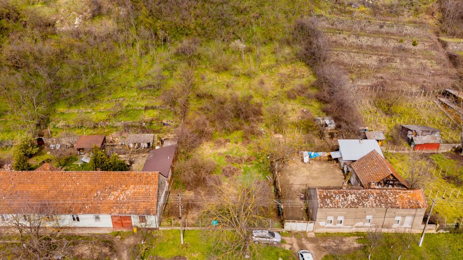 Teren Intravilan Pauliș - Poză 2