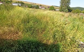 Casa 120 mp-teren 3400 mp-anexe-Sieut, la 30 km de Bistrita - Poză 7