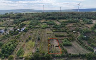 Teren de vânzare – 15 ari în Nimoreni, r-nul Ialoveni - Poză 2