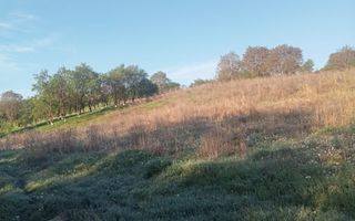 Teren intravilan 100 ari  front 80 ml utilități drum asfaltat Ghirolt Gherla - Poză 1