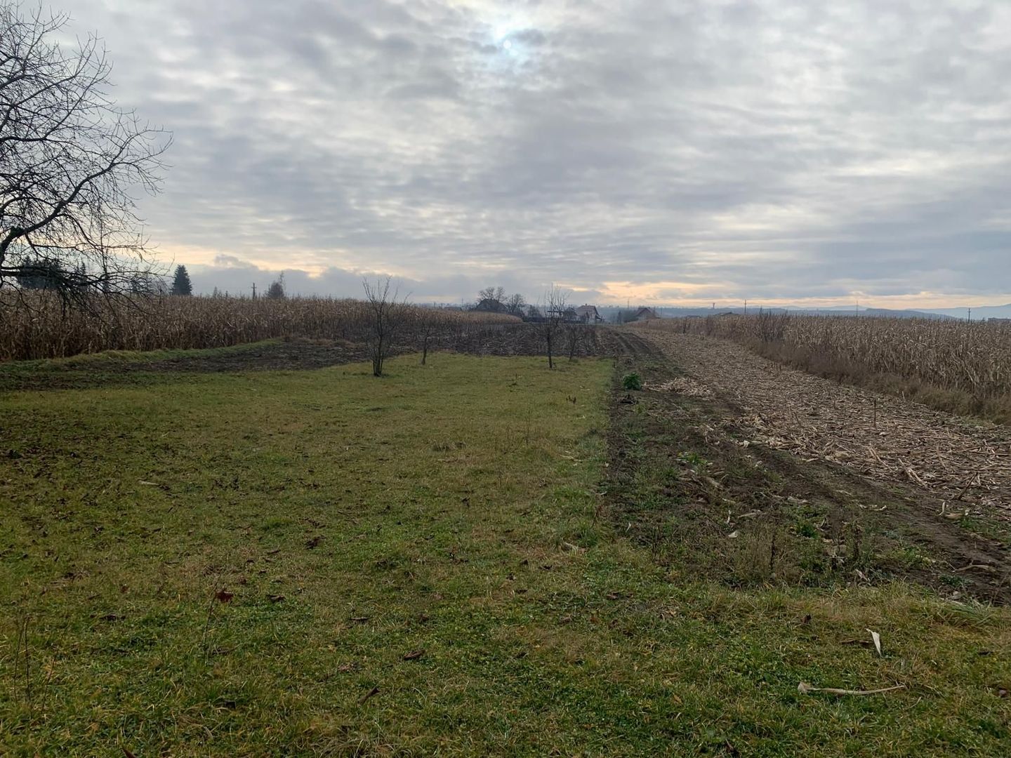 🏡 CASA BATRANEASCA + TEREN IN GALANESTI - Poză 5
