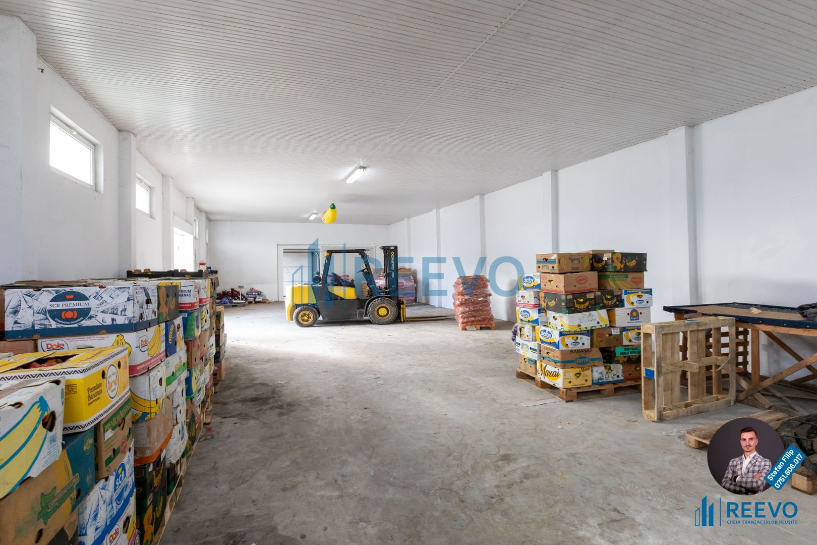 Hale, clădire de birouri și 1.342 mp teren zona Tic-Tac, Bacău - Poză 2