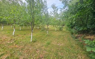 🏞️ Teren intravilan, cu priveliște – Vălenii de Munte - Poză 8