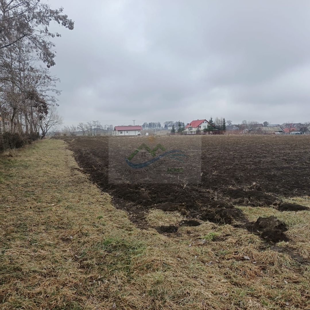 Teren intravilan Ilișești/Suceava - Poză 1