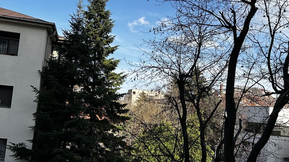 Piata Domenii- Apartament 2 camere cochet, semi-mobilat si utilat - Poză 6