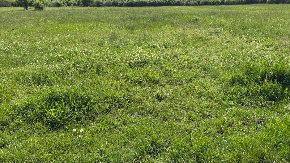 Teren de 721 mp cu Urbanism aprobat pentru duplex - Poză 1