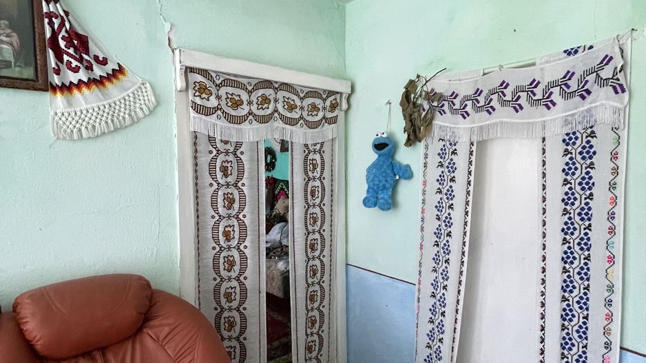 Casa in Comuna Geaca - Poză 12