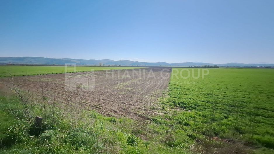 Teren extravilan, 8700 mp, pretabil agricultură sau investiție - Bod - Poză 8