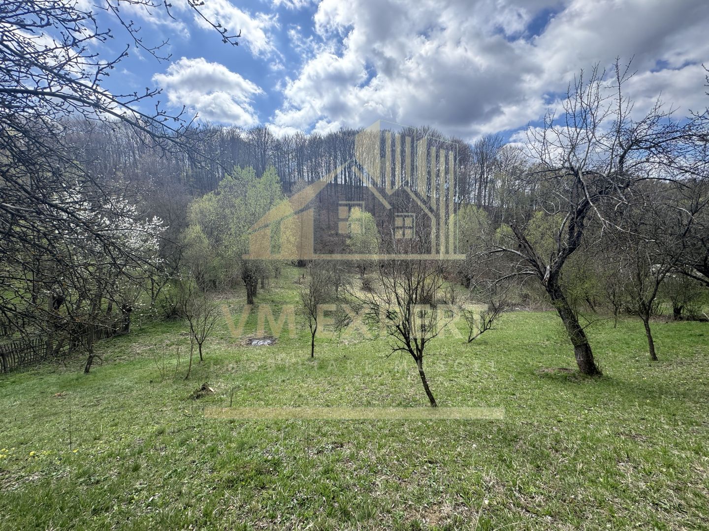 TEREN INTRAVILAN 4365 MP POENARII DE MUȘCEL  JUDEȚUL ARGES - Poză 17